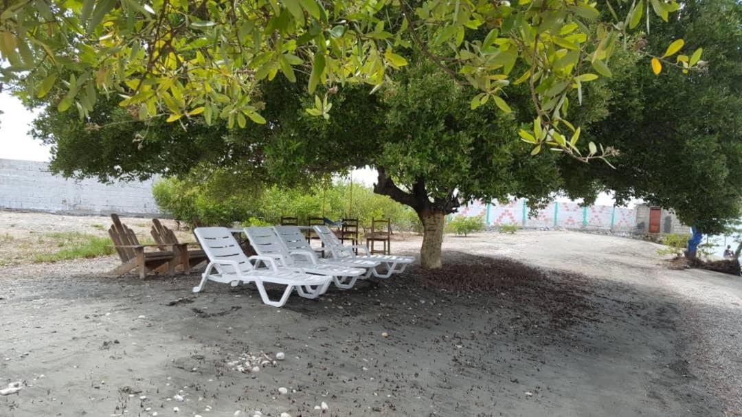 Evasion Beach Hotel Gressier 외부 사진